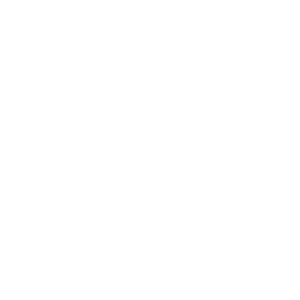 Roofing services icon